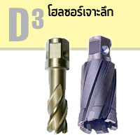 D3 โฮลซอร์เจาะลึก